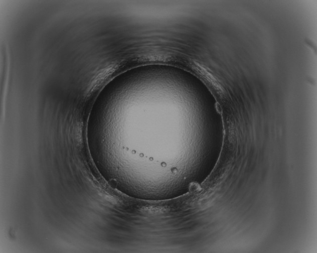 X0000093230537200710031500