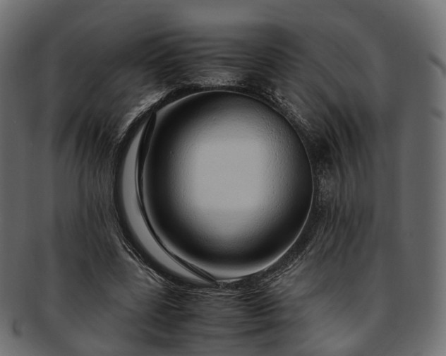 X0000093230539200710031500