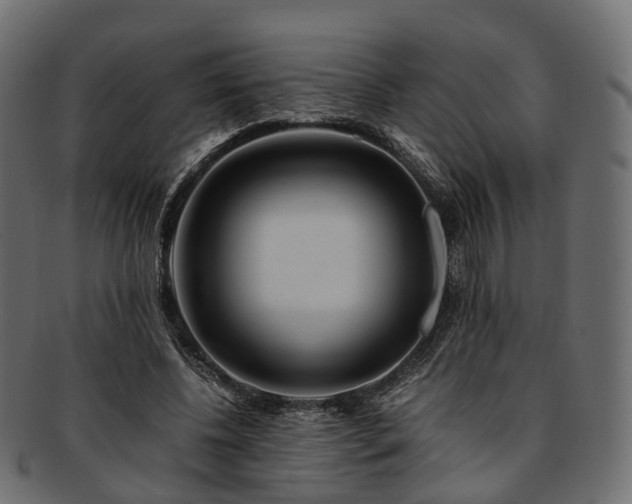 X0000093230540200710031500