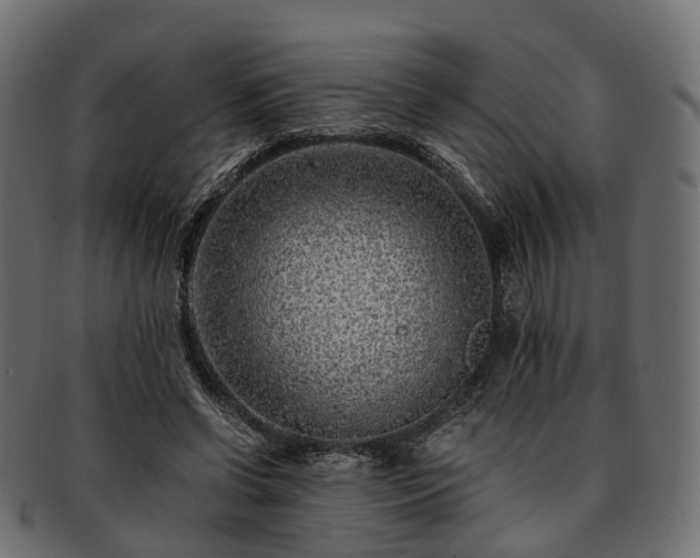 X0000093230542200710031500