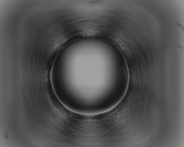 X0000093230543200710031501