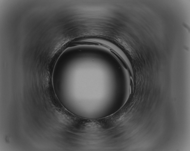 X0000093230544200710031501