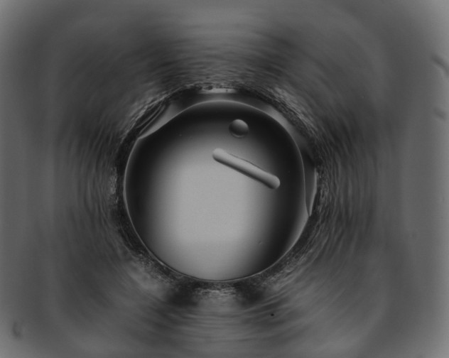 X0000093230548200710031501