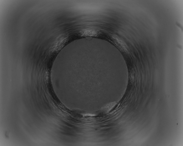 X0000093230551200710031501