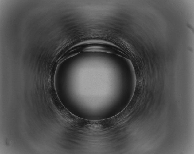 X0000093230552200710031501