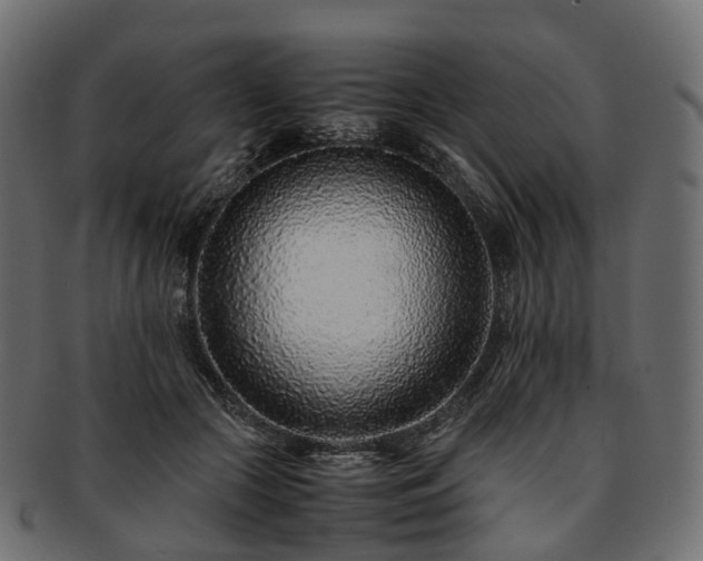 X0000093230553200710031501