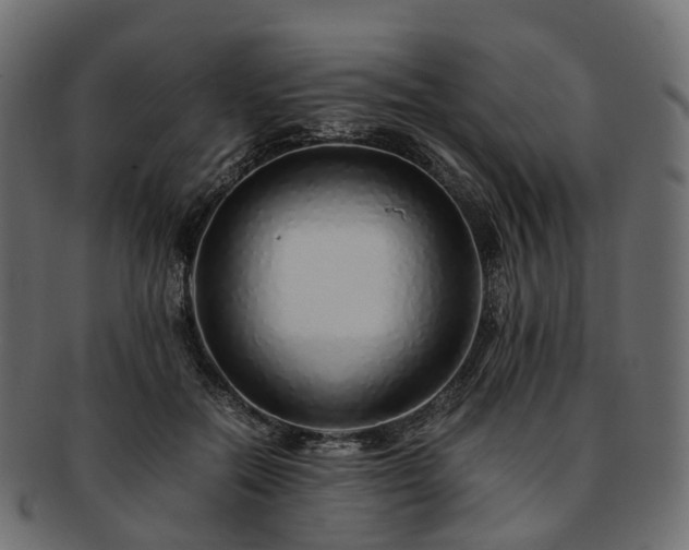 X0000093230554200710031501