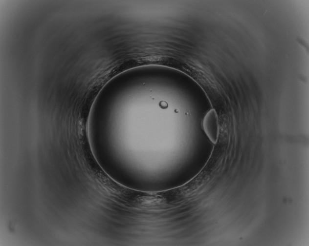 X0000093230555200710031501