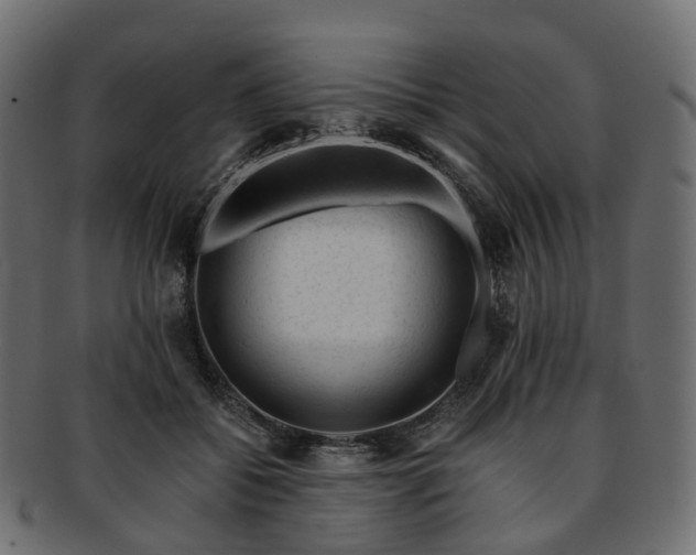 X0000093230556200710031501