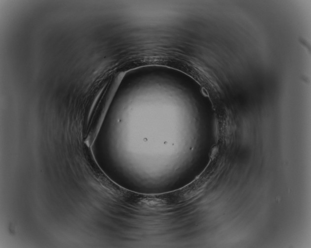 X0000093230557200710031501