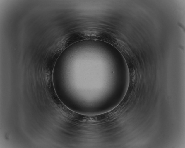 X0000093230559200710031501