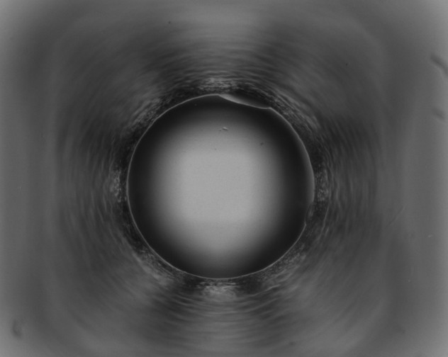 X0000093230560200710031501