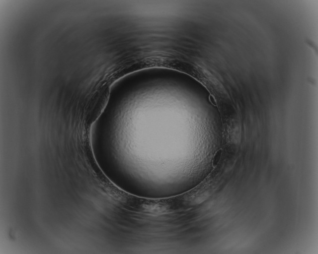 X0000093230561200710031501