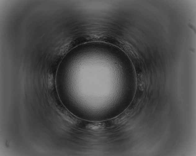 X0000093230563200710031501