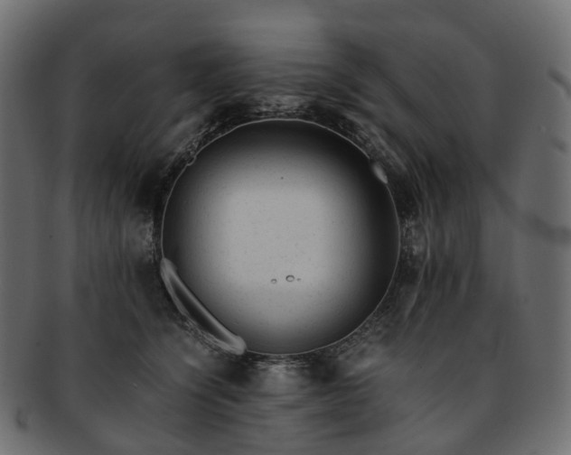 X0000093230564200710031501