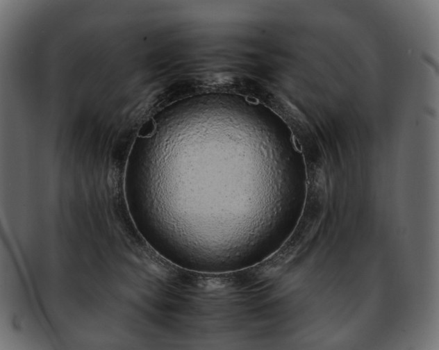 X0000093230565200710031501