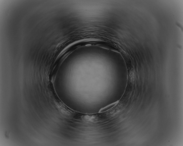 X0000093230570200710031501