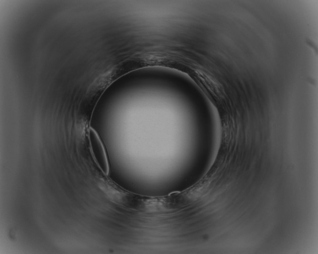 X0000093230574200710031501