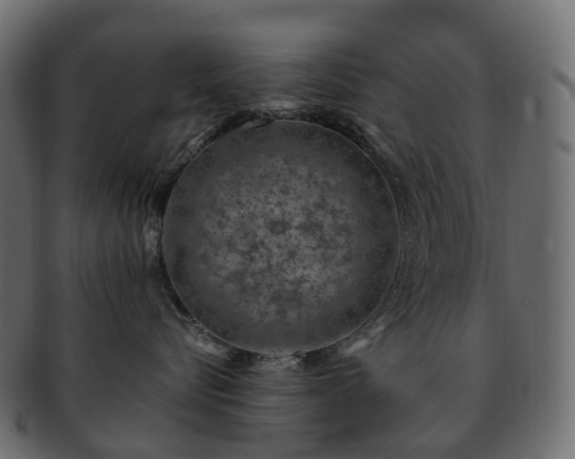 X0000093230576200710031501