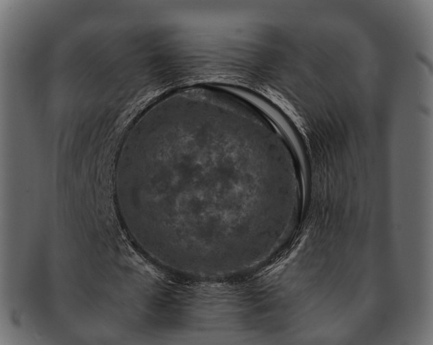 X0000093230577200710031500