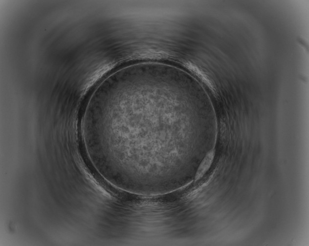 X0000093230581200710031500