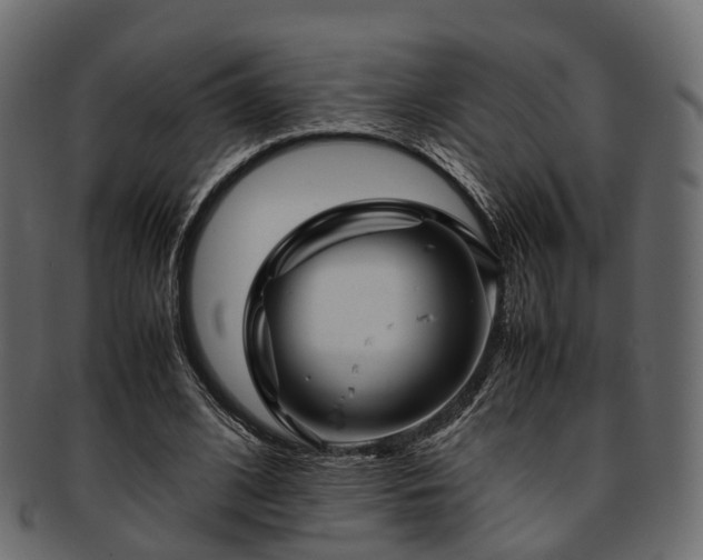 X0000093230584200710031500