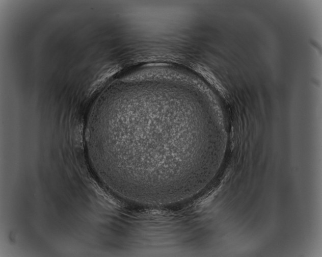 X0000093230585200710031500