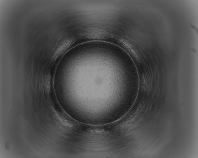 X0000093230586200710031500