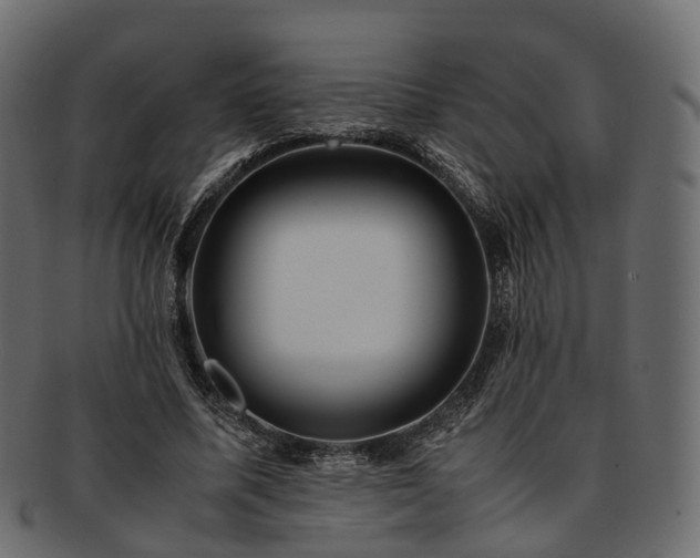 X0000093230587200710031500