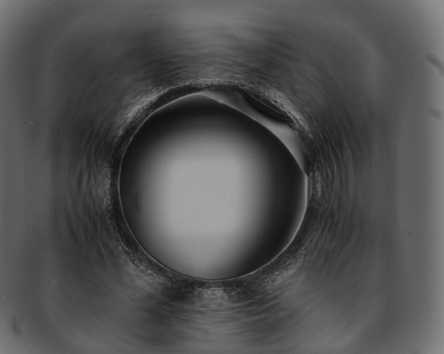 X0000093230588200710031500