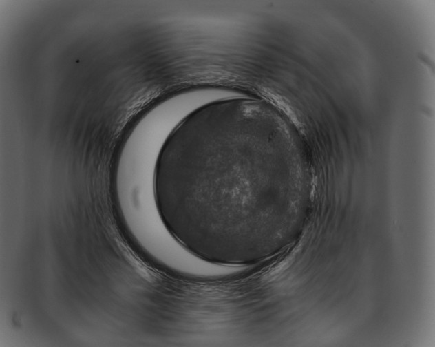 X0000093230589200710031500