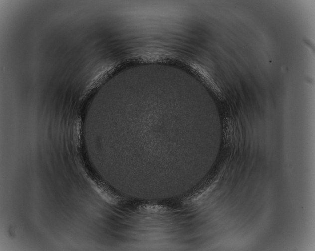 X0000093230590200710031500