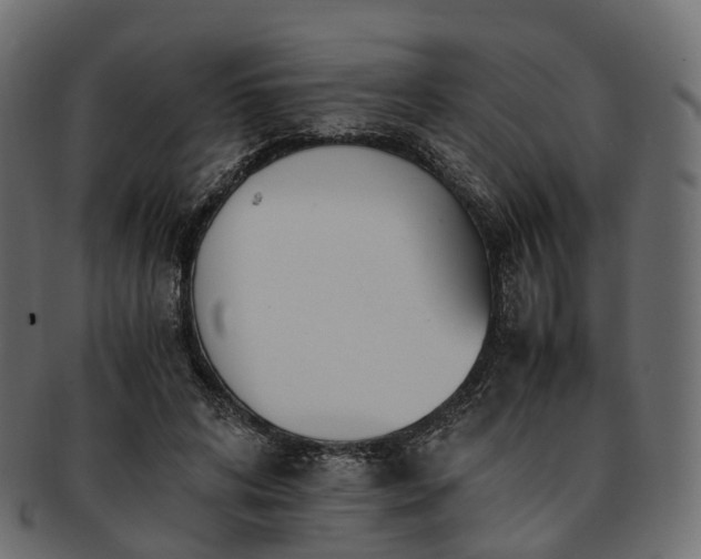 X0000093230592200710031500