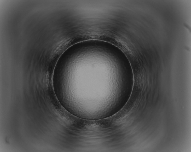 X0000093230594200710031500