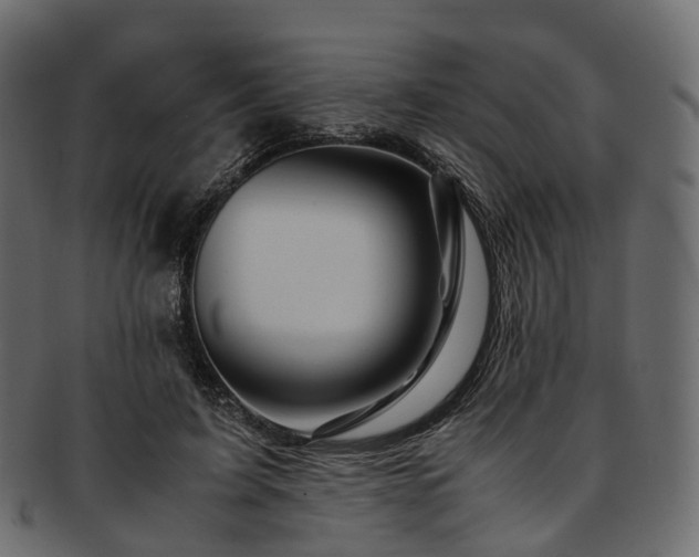 X0000093230595200710031500