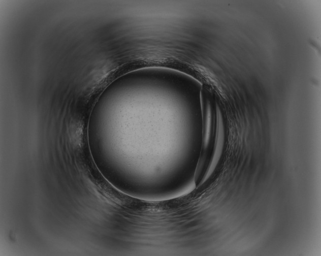 X0000093230596200710031500