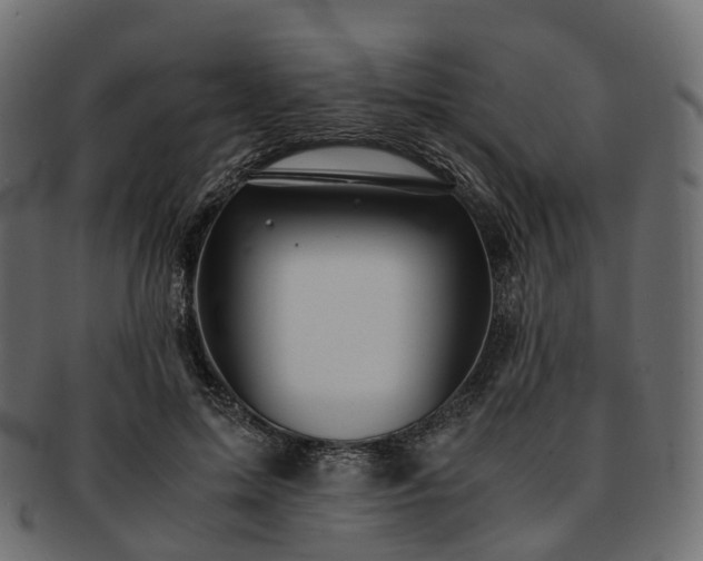 X0000093230599200710031500