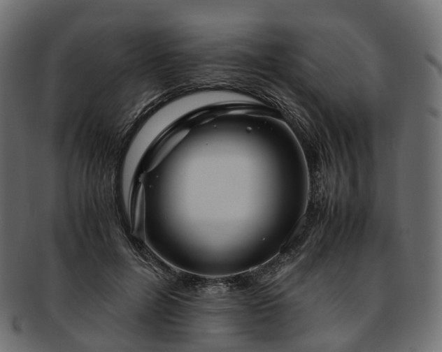 X0000093230600200710031500