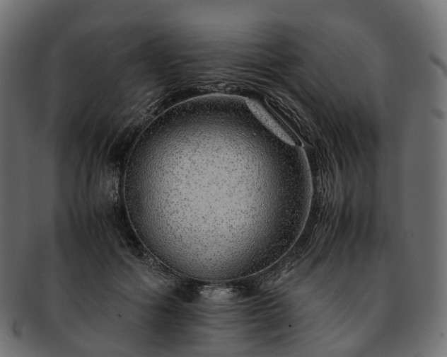 X0000093230602200710031500