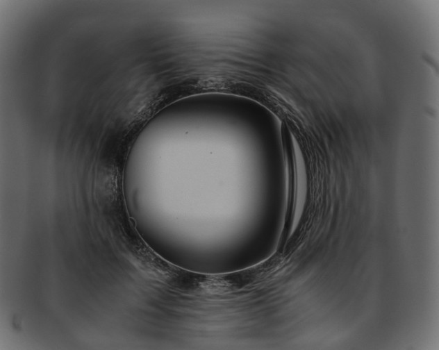 X0000093230603200710031500