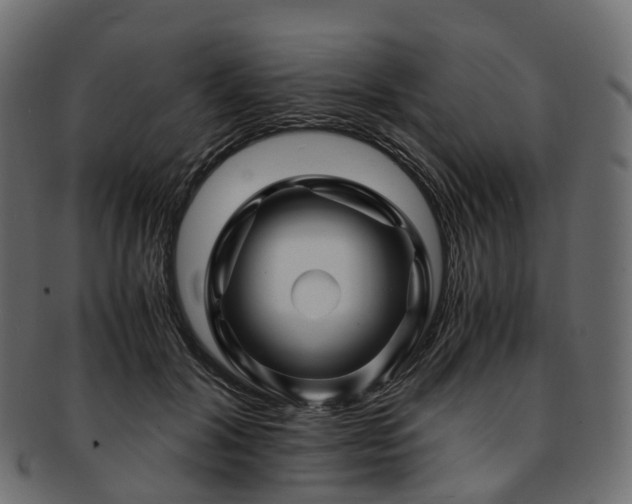 X0000093230604200710031500