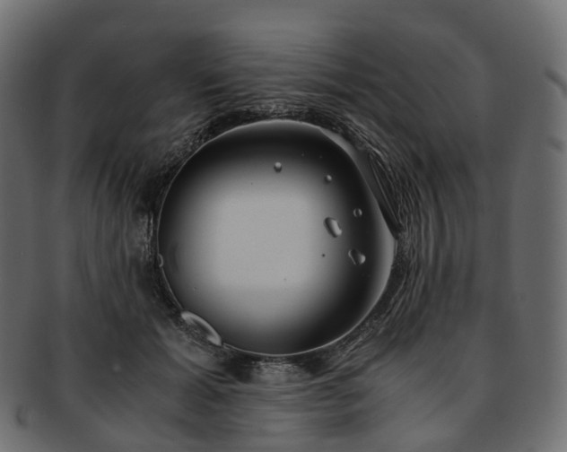 X0000093230605200710031500