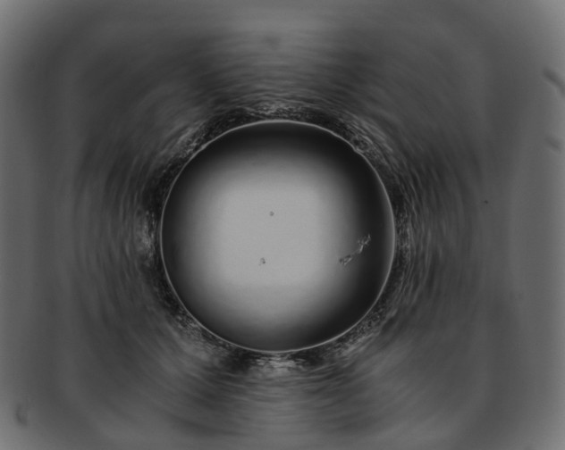 X0000093230607200710031500