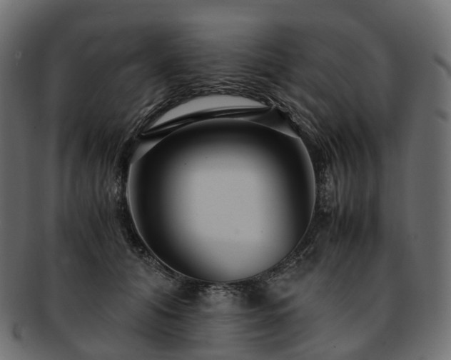 X0000093230608200710031500