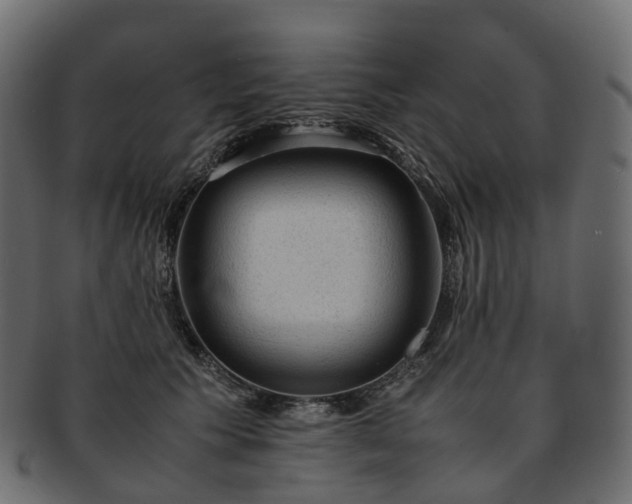 X0000093230609200710031500