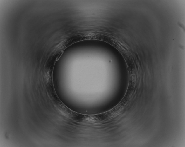 X0000093230611200710031500