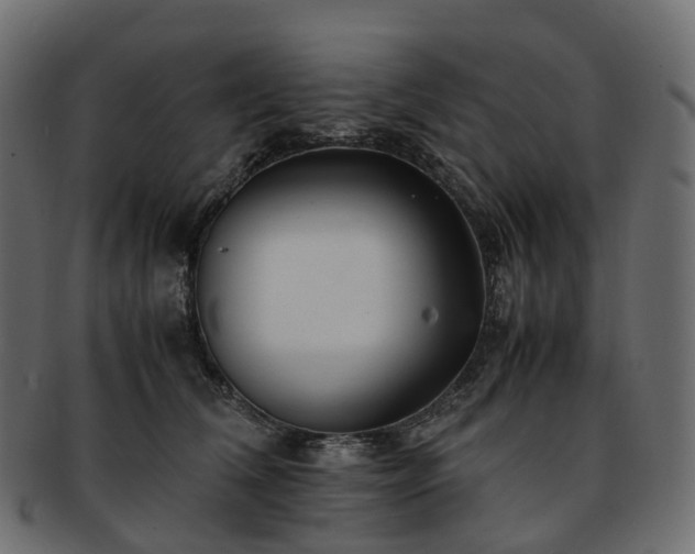 X0000093230612200710031500