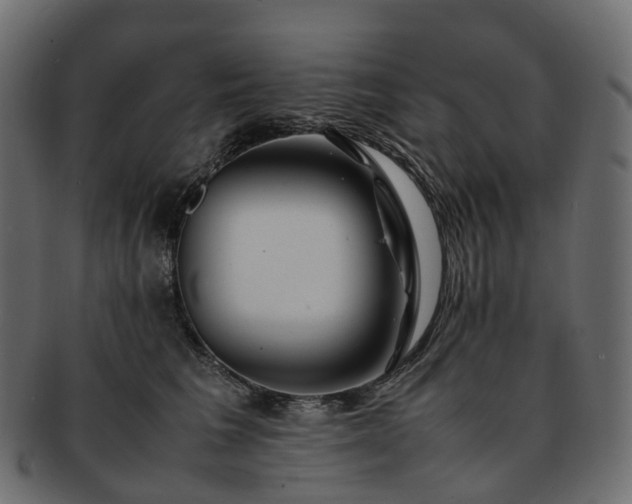 X0000093230613200710031500