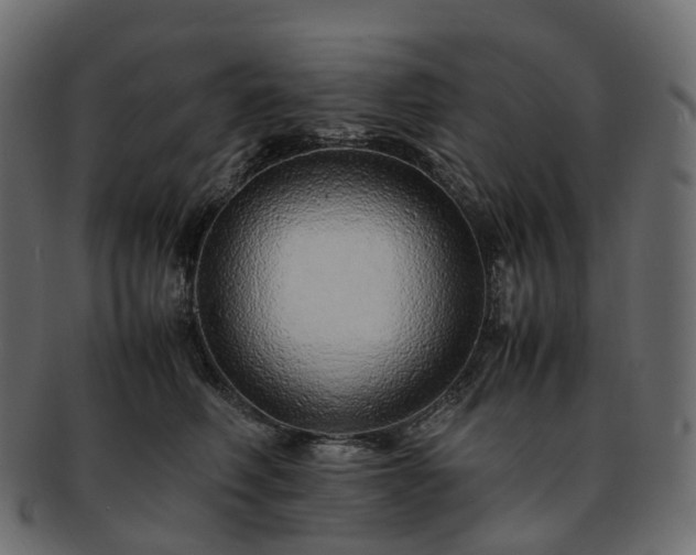 X0000093230614200710031500