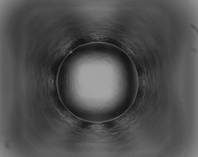 X0000093230615200710031500